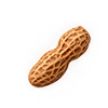 Peanut
